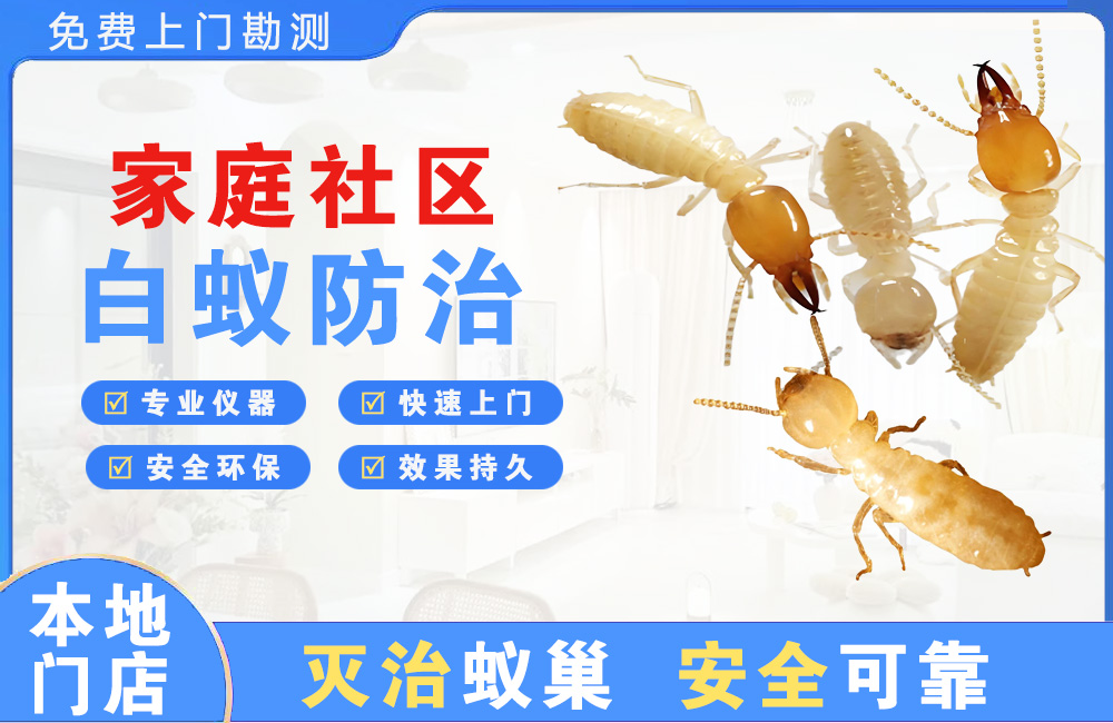 抚州家庭社区白蚁防治