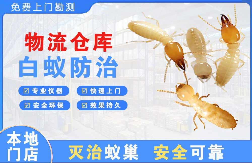 抚州物流仓库白蚁防治