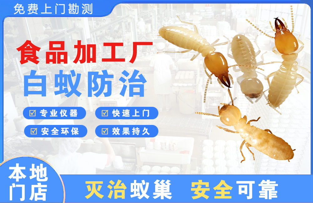 抚州食品加工厂白蚁防治