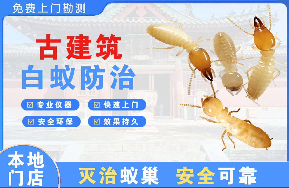 抚州古建筑白蚁防治