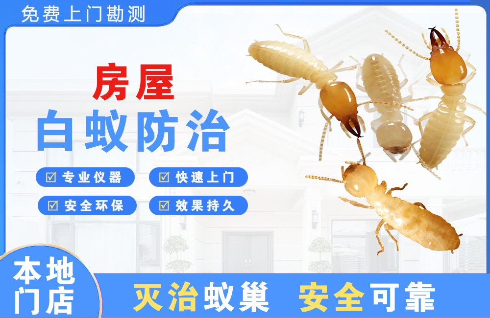 抚州房屋白蚁防治