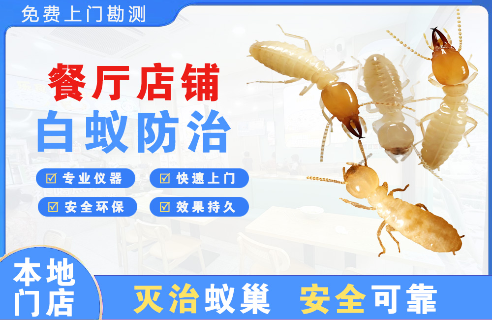 抚州餐厅店铺白蚁防治